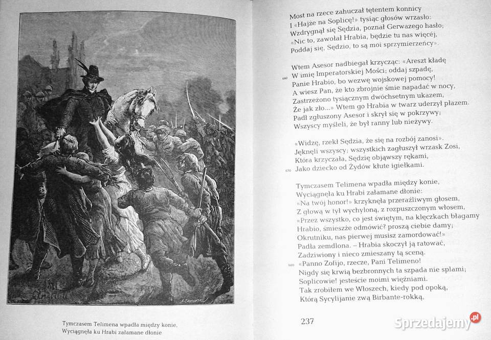 Pan Tadeusz Adam Mickiewicz Chełm sprzedam