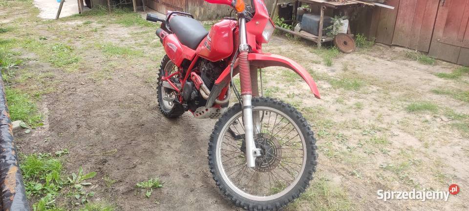 Honda lubelskie Dorohusk