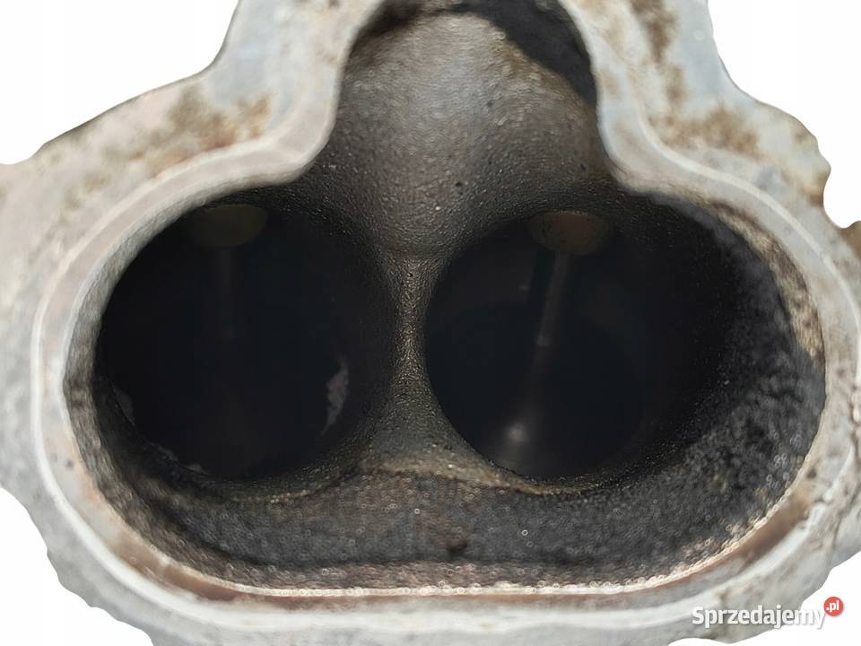 GŁOWICA SILNIKA Citroen C5 C8 Peugeot 406 607 osobowe sprzedam