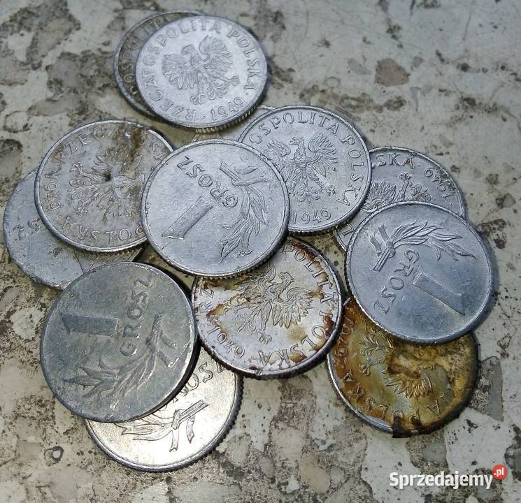 POLSKA 1 GROSZ 1949 rALbz12 SZTUK Legionowo