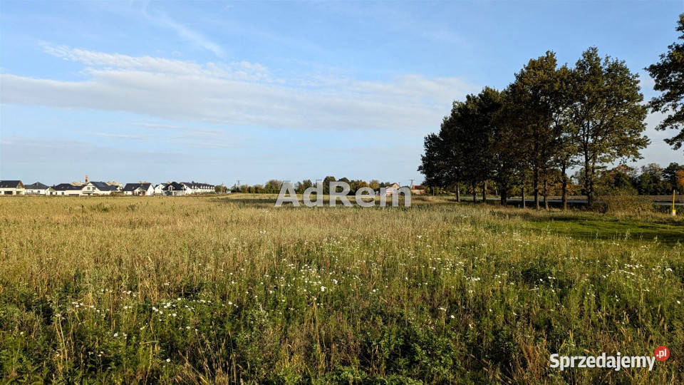 sprzedaży gruntu 4699m2 Kębłowice 82m dolnośląskie