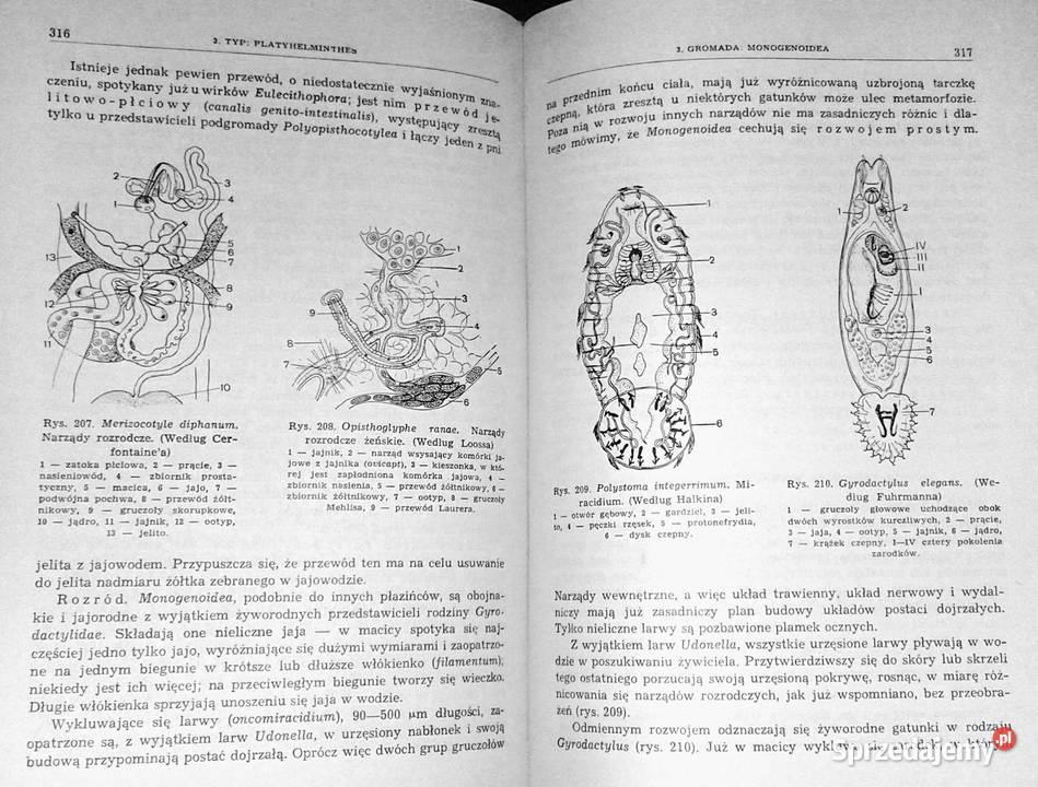 Zoologia Bezkręgowce Tom 12 Eugeniusz Grabda Chełm