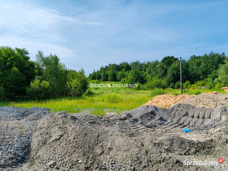 Grunt Bodzanów 18000m2 18000m2 sprzedam