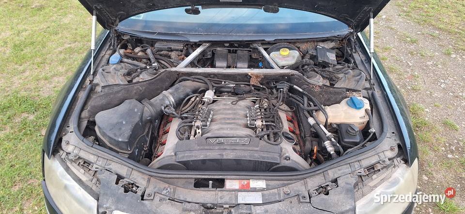 Audi A8 D3 37 LPG kujawsko-pomorskie Toruń