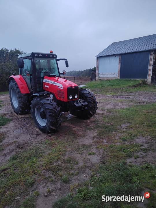 Massey Ferguson 6480 lubelskie Krasnystaw