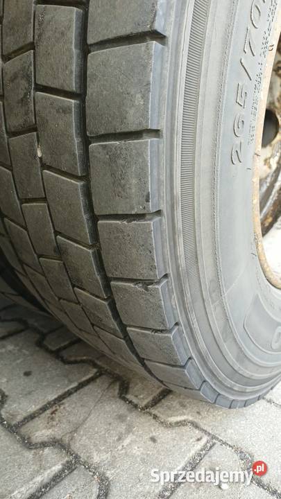 Man Tgl 12180 Chłodnia Winda Rok produkcji 2006 Gdańsk