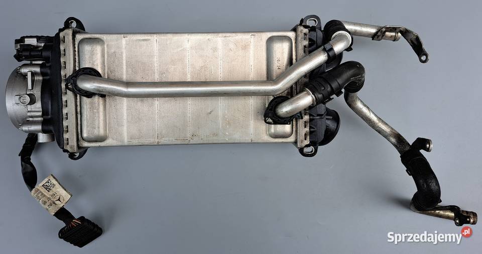 Intercooler Przepustnica Mercedes 55 AMG M157 47 osobowe dolnośląskie Mielęcin