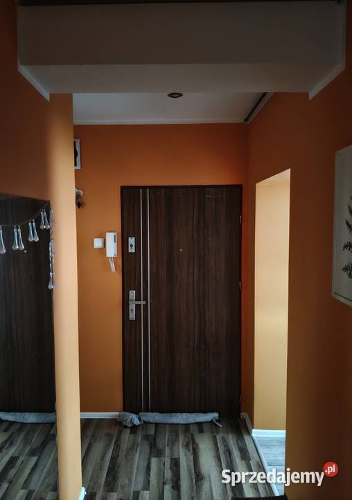 Przyjmę zlecenie Usługi