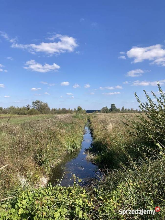 Dom szkieletowy 128m na działce 32 A Poleski Zabrodzie