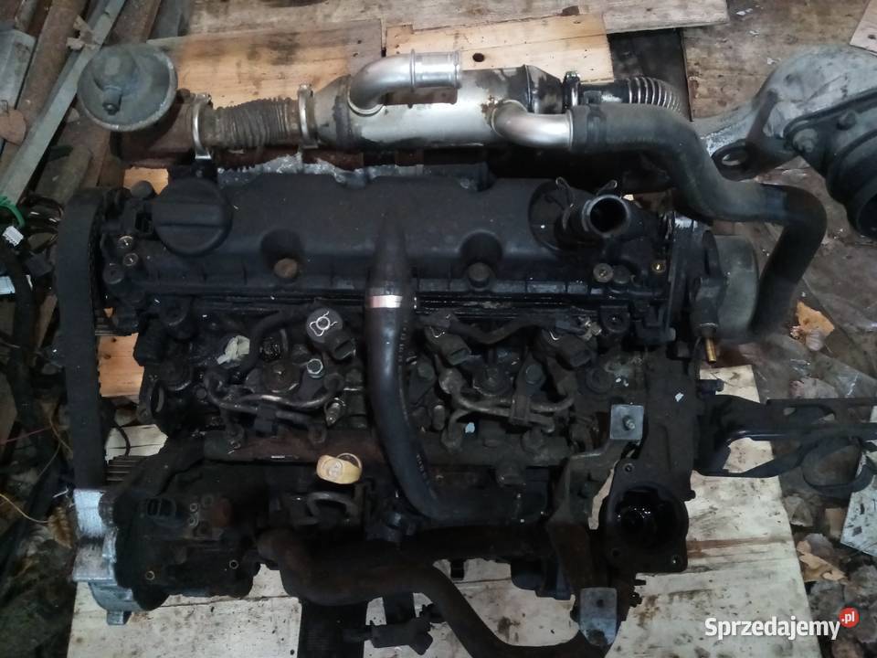 Silnik Peugot Citroen 20hdi RHV 0206r inne Piotrów