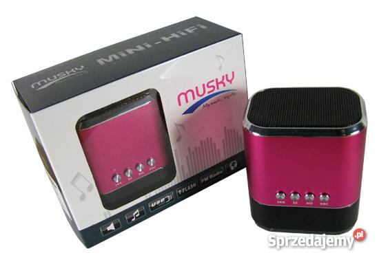 Głośnik MINI Przenośny USB SD JACK 35 Radio FM R