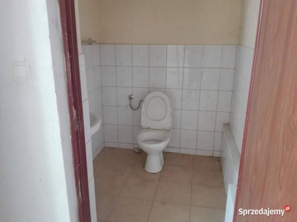 Hala do wynajęcia Sosnowiec centrum brama poziom Lokale użytkowe