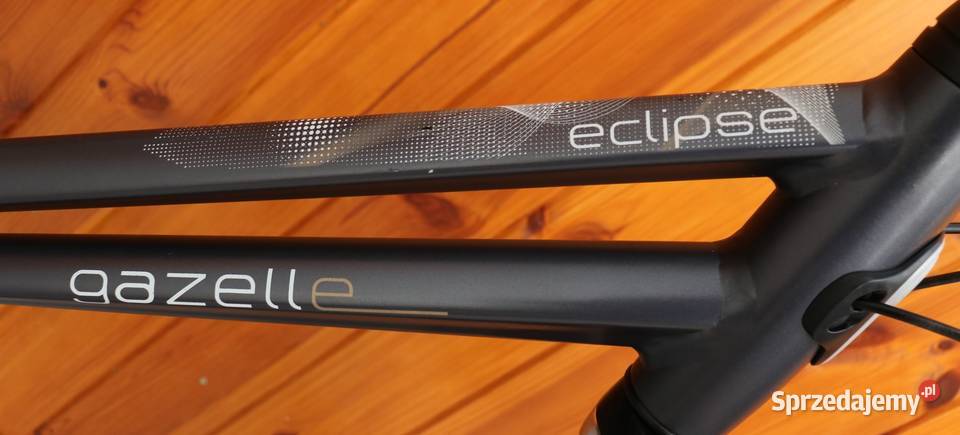 Rower damski Gazelle Eclipse D 53 RATY