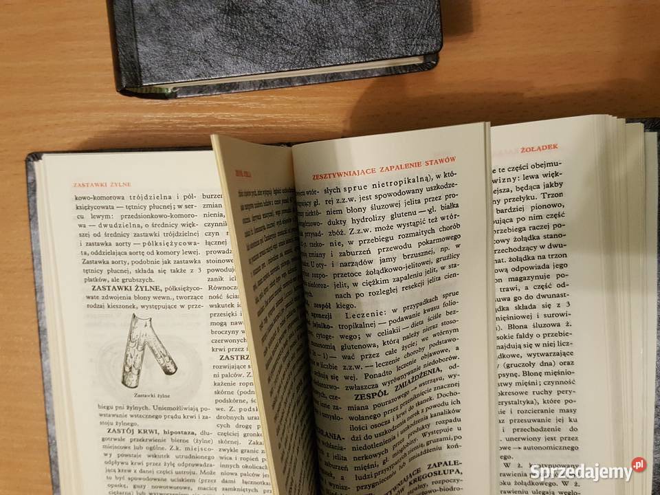 MAŁA ENCYKLOPEDIA MEDYCYNY 2 tomy Tadeusz sprzedam