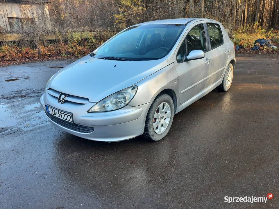 Peugeot 307 20HDi 2000cm3 Biłgoraj