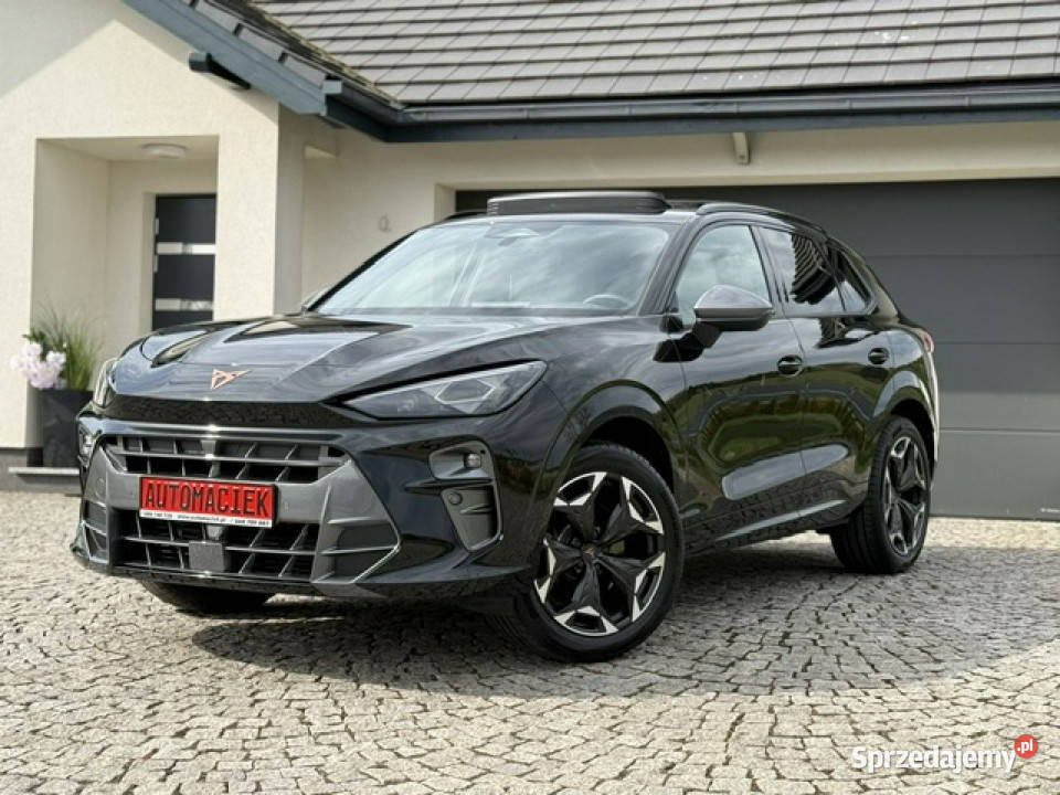 Cupra Terramar VZ 265 4x4 AMBIENTE NAGŁOŚNIENIE 4/5