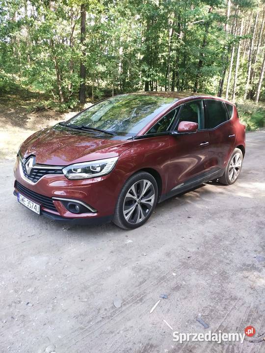 Renault Scenic 2018 15 dCi niski przebieg nieuszkodzony Scenic pomorskie Orle