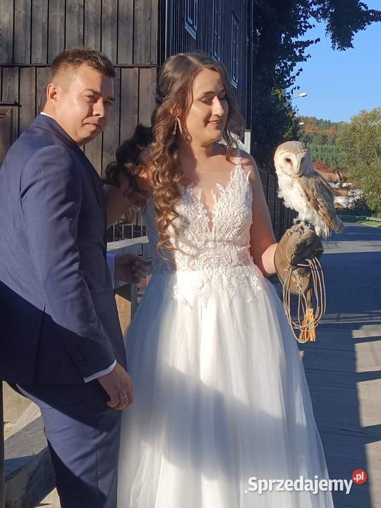 Roztocze Dziupla Pana Sowy Bondyrz