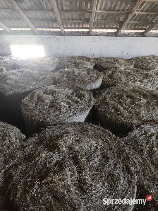 Sprzedam siano łódzkie Piątek
