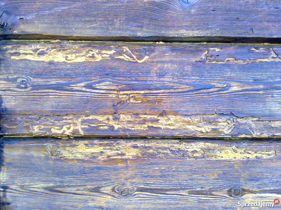 Domek z działką Bugiem Sobibór wieś Dubnik Sobibór