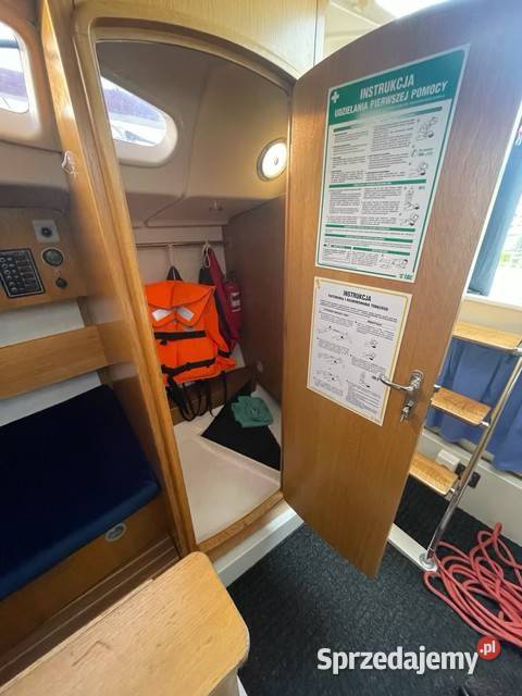 Phila 880 Drężewo sprzedam