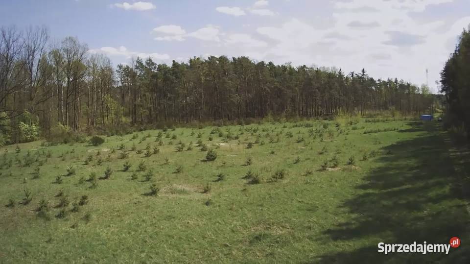 Działka budowlana 1000M2 WZ BRZÓZA