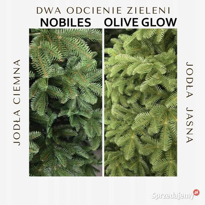 Choinka sztuczna 100 PE Jodła Nobiles 2D 160 Koziegłowy