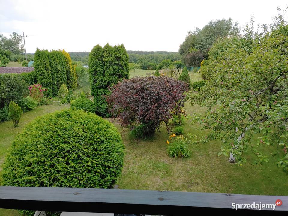 Dom letniskowy Szypry 6 Olsztynem