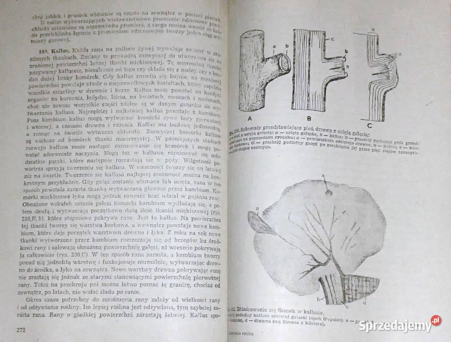Anatomia roślin Edmund Malinowski Chełm