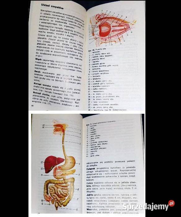Medycyna w plecaku Artur Dziak Bogdan Odyński Chełm