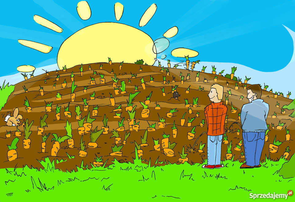 Grafik Rysownik Ilustrator freelancer przyjmie mazowieckie