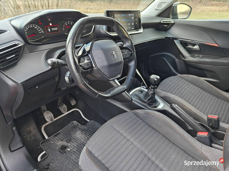 Peugeot 2008 II 2019 immobilizer