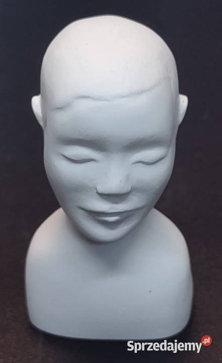 Popiersie gipsowe Główka głowa do utwardzania Gdańsk sprzedam