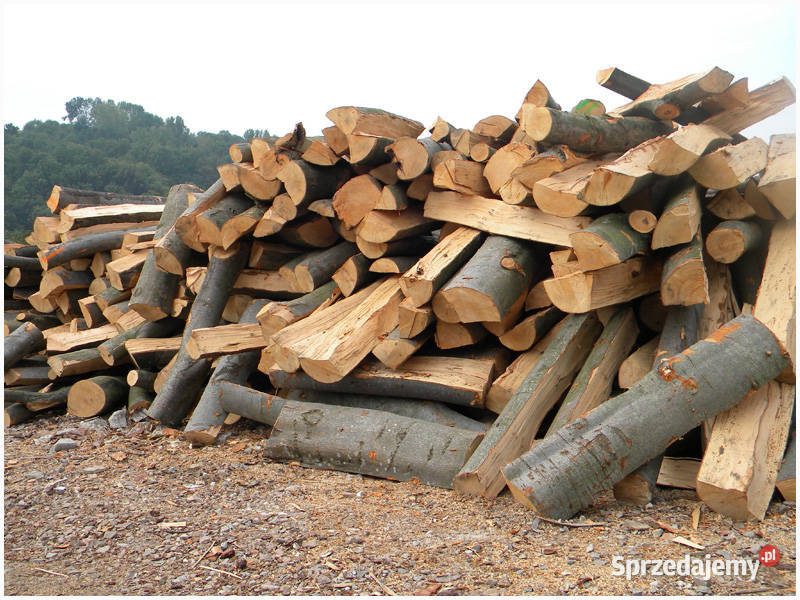 Drewno kominkowe i opałowe- sezonowane, z dowozem