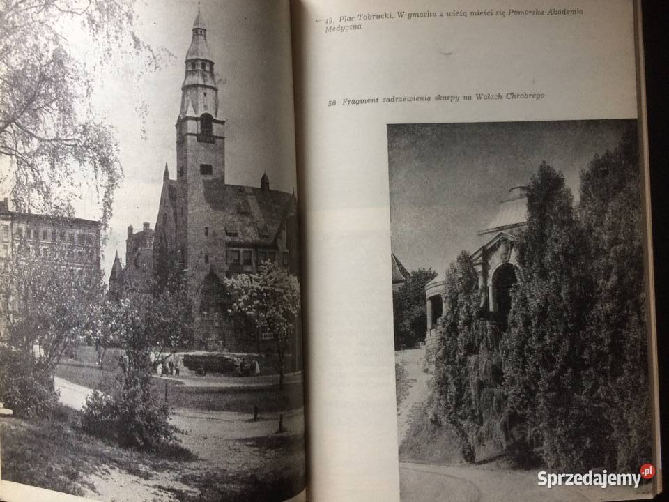 3302 Szczecin Miasto Parków I Zieleni