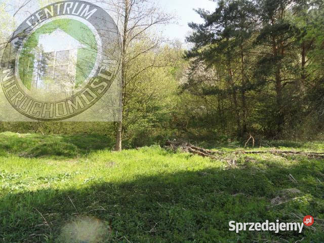 Grunt 13400m2 RoztokaBrzeziny gaz Roztoka-Brzeziny