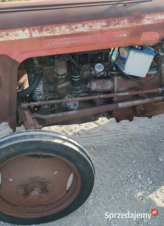 Massey Ferguson 35 kujawsko-pomorskie Kornatowo