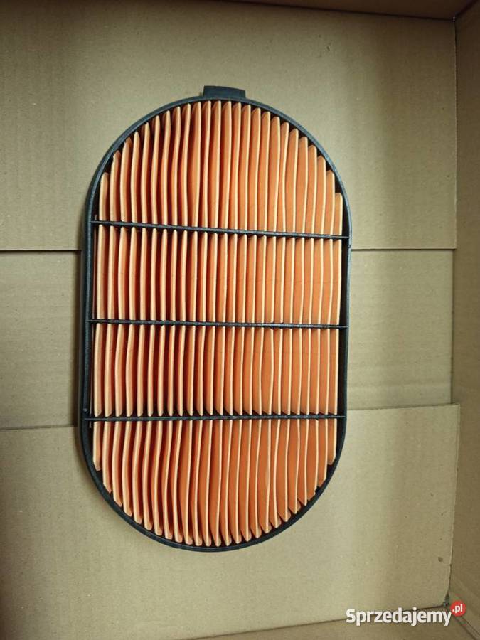 Filtr powietrza Donaldson łódzkie Rozprza