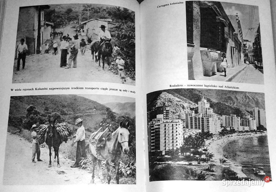 Bogotańskie ABC Anna Słowakiewicz