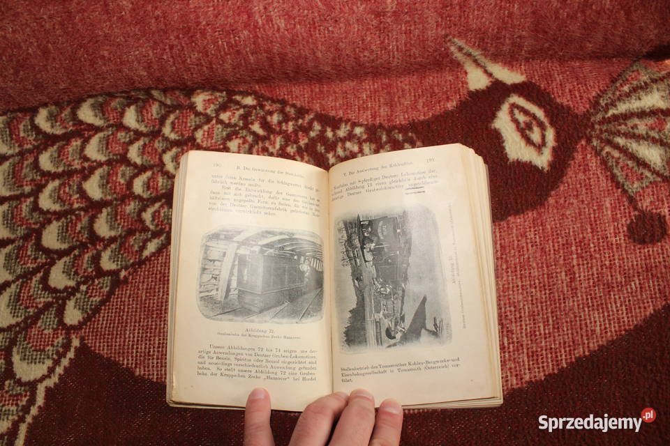 Die Steinkohle A Haenig 1907 Chorzów