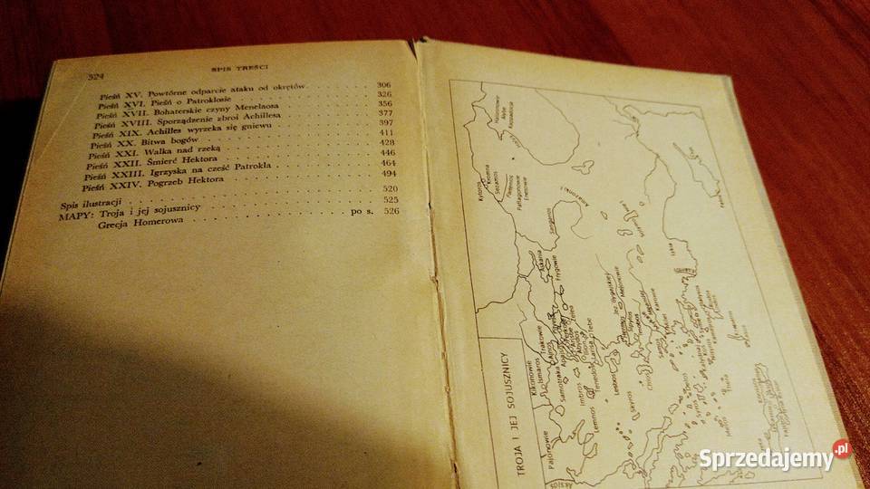 Iliada Homer Biblioteka Narodowa Seria 2 17