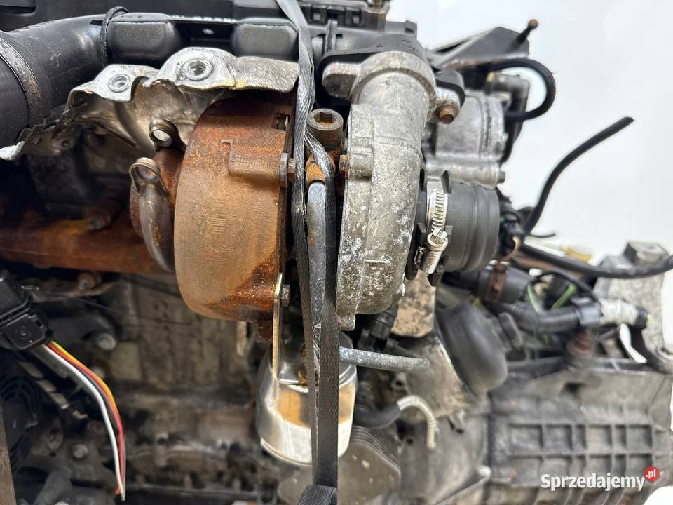 SILNIK KOMPLETNY G8DD Ford Focus II MK2 C C 16 osobowe Chełm
