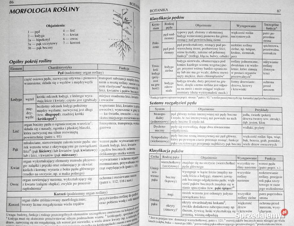 Tablice biologiczne Witold Mizerski Beata Rok wydania 20004 sprzedam