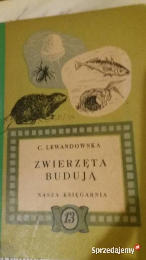 Lewandowska książki Zwierzęta budują dziecięce Warszawa
