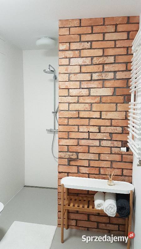 Płytki z cegły lico toruńskie Warszawa