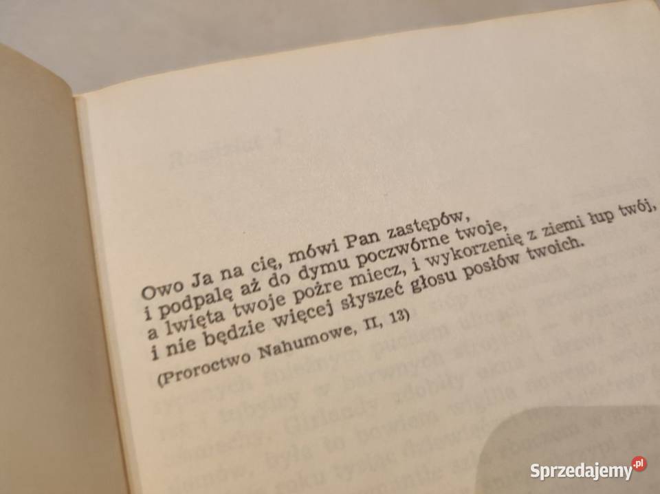 Młode lwy Irwin Shaw Kielce