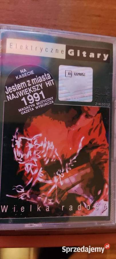 Elektryczne Gitary Wielka Radość Muzyka
