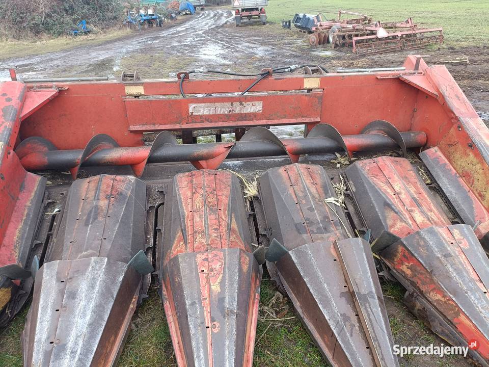 Przystawka do kukurydzy Greinghoff PC 5 rzędowa Lewin Brzeski sprzedam
