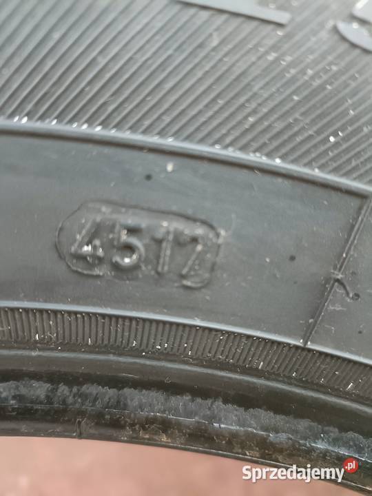 Dębica Frigo 2 19565 15R