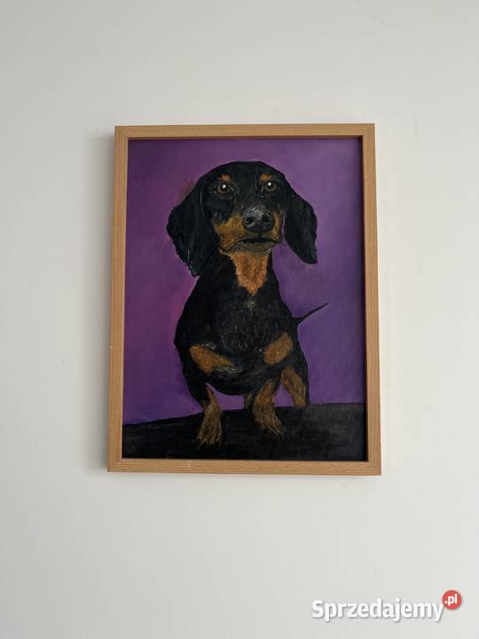 Obraz pieska Jamnik na fioletowym tle 3040 olej Świebodzin